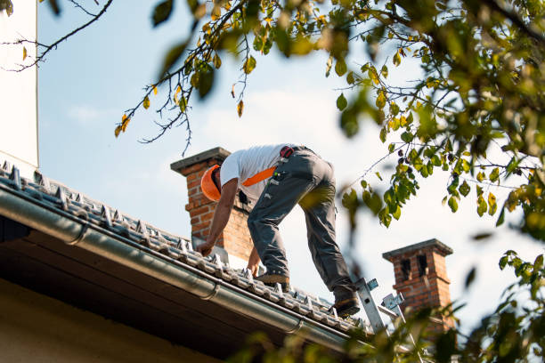 Best Metal Roofing Installation  in La Blanca, TX