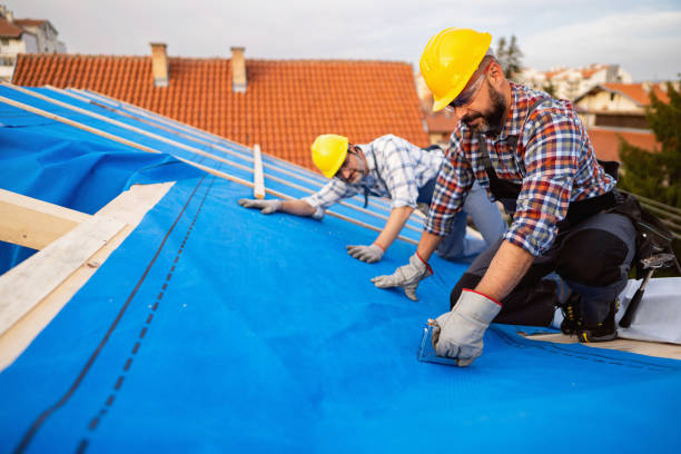 Best Commercial Roofing Services  in La Blanca, TX