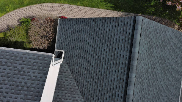 Best Roof Leak Repair  in La Blanca, TX