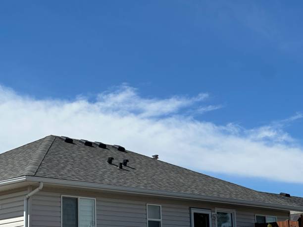 Best Roof Insulation Installation  in La Blanca, TX